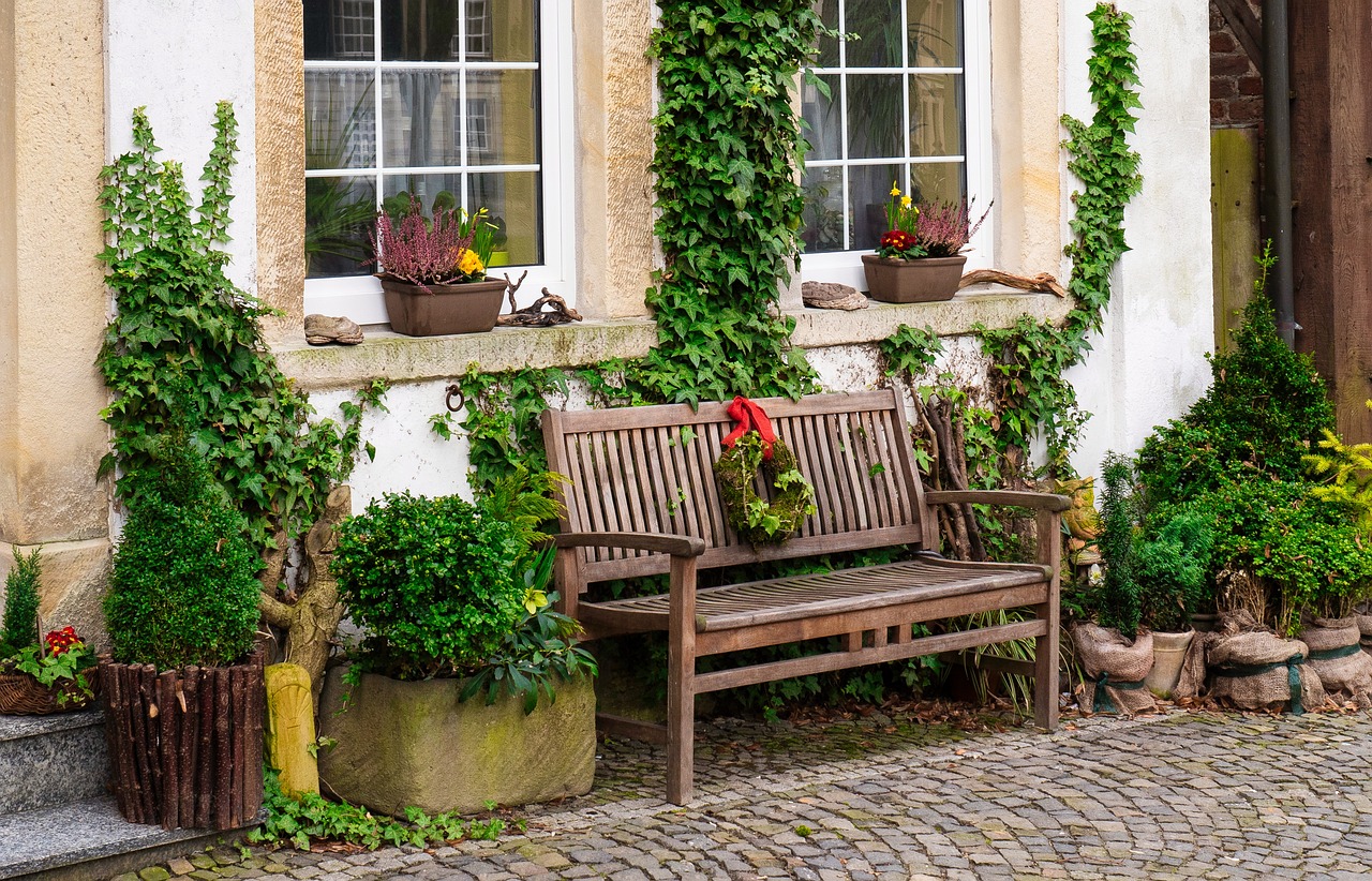 Bluszcz na ogrodzeniu: Jakie są korzyści z poprawy domu?